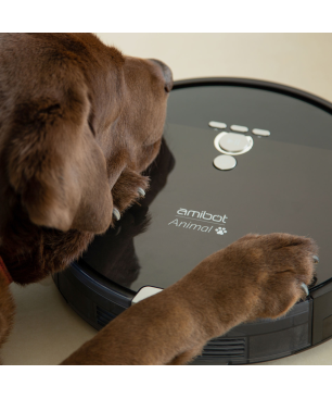 AMIBOT Animal XL H2O Connect Saugroboter