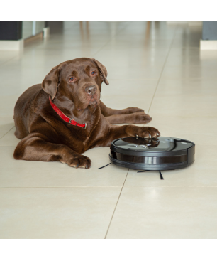 AMIBOT Animal XL H2O Connect Saugroboter