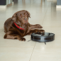 AMIBOT Animal XL H2O Connect Saugroboter