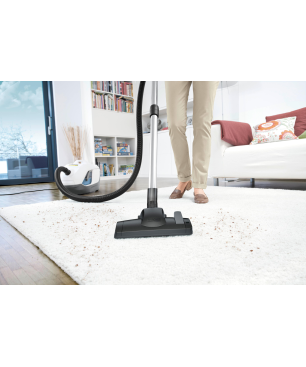KÄRCHER 1.195-240.0 DS 6 Premium Staubsauger, maximale Leistung: 650 Watt