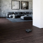AEG RX9.2 Saugroboter 3D Kamera + Laser / Farbe: Shale Grey Shale Grey Saugroboter