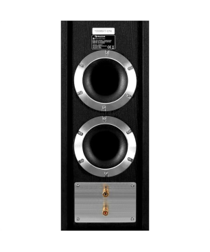AUNA Linie-600-BK Standlautsprecher, Schwarz