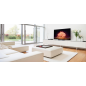 LG OLED 55 B 19 LA.AEU OLED TV (Flat, 55 Zoll / 139 cm, UHD 4K, SMART TV, webOS 6.0 mit LG ThinQ)