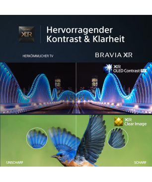 SONY BRAVIA XR-55A80L OLED TV (Flat, 55 Zoll / 139 cm, UHD 4K, SMART TV, Google TV)