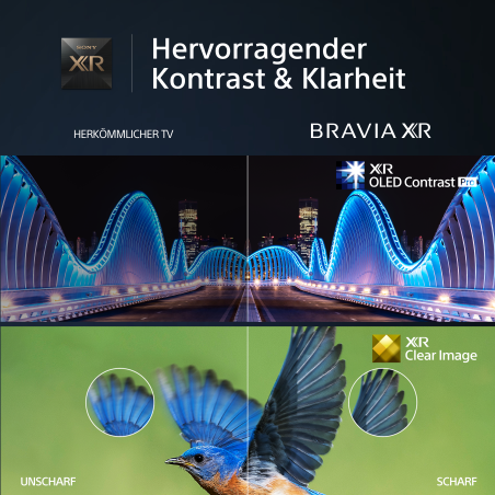 SONY BRAVIA XR-55A80L OLED TV (Flat, 55 Zoll / 139 cm, UHD 4K, SMART TV, Google TV)