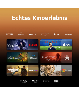 LG 55QNED816RE QNED TV (Flat, 55 Zoll / 139 cm, UHD 4K, SMART TV, webOS 23 mit LG ThinQ)