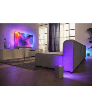 PHILIPS 58PUS8546/12 LED TV (Flat, 58 Zoll / 146 cm, UHD 4K, SMART TV, Ambilight, Android TV™ 10 (Q))