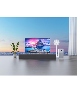 XIAOMI TV Q1E 55" QLED TV (Flat, 55 Zoll / 138,8 cm, QLED 4K, SMART TV, Android TV™ 10)