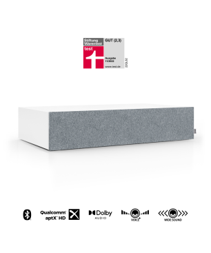 NUBERT nuBoxx AS-225 max Soundbar aktiv | Soundplate, Weiß