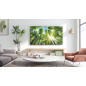 TCL 75 P 735 LED TV (Flat, 75 Zoll / 190,5 cm, UHD 4K, SMART TV, GOOGLE TV) TCL 75 P 735 LED TV (Flat, 75 Zoll / 190,5 cm, UHD 4K, SMART TV, GOOGLE TV)