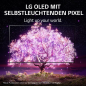 LG OLED 65 G 19 LA.AEU OLED TV (Flat, 65 Zoll / 164 cm, UHD 4K, SMART TV, webOS 6.0 mit LG ThinQ) LG OLED 65 G 19 LA.AEU OLED TV (Flat, 65 Zoll / 164 cm, UHD 4K, SMART TV, webOS 6.0 mit LG ThinQ)