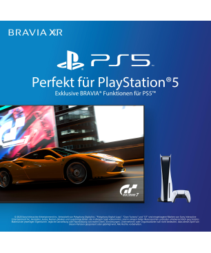 SONY BRAVIA XR-55X90L LED TV (Flat, 55 Zoll / 139 cm, UHD 4K, SMART TV, Google TV)
