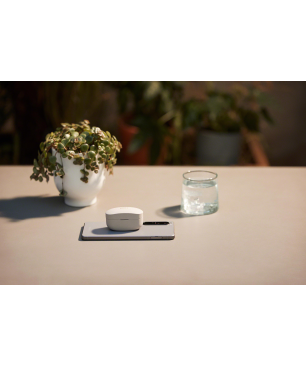 SONY WF-1000XM4, Earbuds, Ladeetui, In-ear Kopfhörer Bluetooth Silber