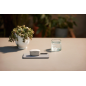 SONY WF-1000XM4, Earbuds, Ladeetui, In-ear Kopfhörer Bluetooth Silber