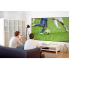 OPTOMA ALR101 Leinwand