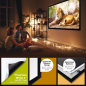 ESMART Professional MIRALE 443 x 249 cm (200") 16:9 Rahmen-Leinwand