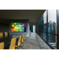 ELITE SCREENS EZ FRAME16:9 / CineWhite / 234 x 132 Beamer Leinwand