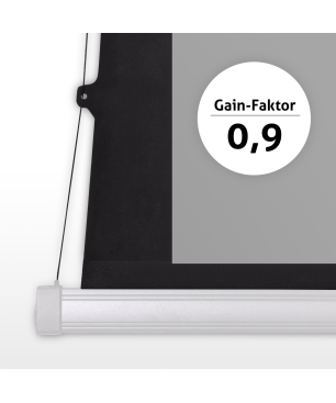 ESMART Expert XTS 266 x 149 cm (120") 16:9 GRAU Tension-Leinwand