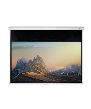 CELEXON Advanced - Slowmotion Mattweiss Polaro Rolloleinwand, Bildbreite: 295 cm