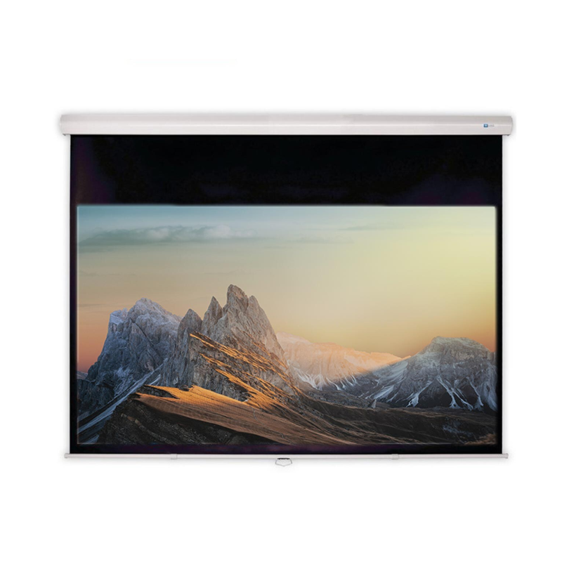 CELEXON Advanced - Slowmotion Mattweiss Polaro Rolloleinwand, Bildbreite: 295 cm CELEXON Advanced - Slowmotion Mattweiss Polaro Rolloleinwand, Bildbreite: 295 cm