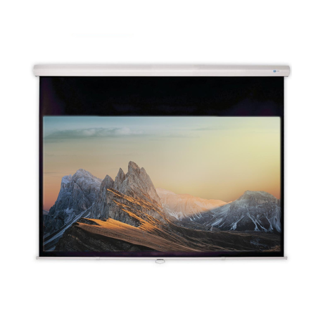CELEXON Advanced - Slowmotion Mattweiss Polaro Rolloleinwand, Bildbreite: 295 cm
