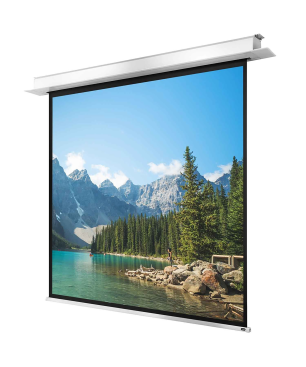 CELEXON Deckeneinbau Pro+ Deckeneinbauleinwand, Bilddiagonale (cm): 225 cm