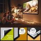 ESMART Professional MIRALE Tageslicht-Rahmen GRAU 221 x 125 cm (100") 16:9 Rahmen-Leinwand
