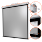 CELEXON Professional Plus Rolloleinwand, Bilddiagonale (cm): 339 cm CELEXON Professional Plus Rolloleinwand, Bilddiagonale (cm): 339 cm