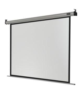 CELEXON HomeCinema Motorleinwand, Bildhöhe: 146 cm