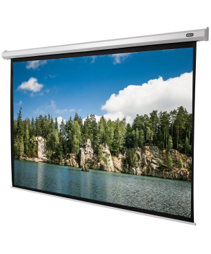 CELEXON Economy Motorleinwand, Bildbreite: 270 cm