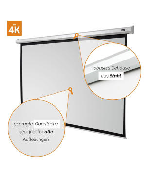 CELEXON Economy Motorleinwand, Bildbreite: 270 cm