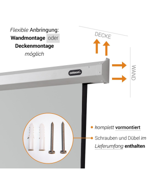 CELEXON Economy Motorleinwand, Bildbreite: 270 cm