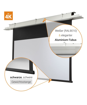 CELEXON Deckeneinbau Expert Deckeneinbauleinwand, Bildbreite: 250 cm