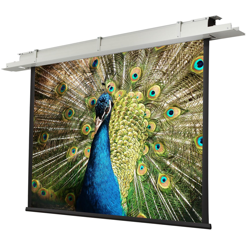 CELEXON Leinwand Motor Expert Deckeneinbauleinwand