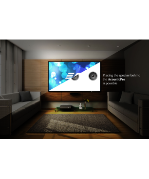 ELITE SCREENS AEON EDGE FREE16:9 / AcousticPro-UHD / 332 x 187 Beamer Leinwand