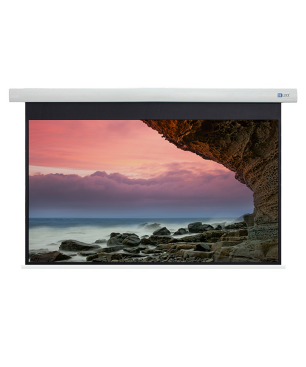 CELEXON Cinema - 4K Fibre MWHT Motorleinwand, Bildbreite: 298 cm