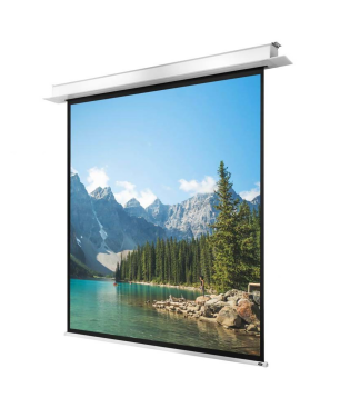 CELEXON Deckeneinbau Pro+ Deckeneinbauleinwand, Bildbreite: 280 cm
