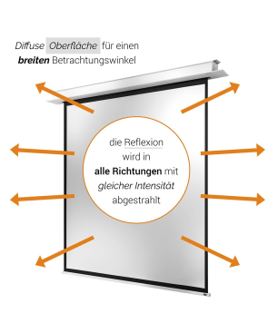 CELEXON Deckeneinbau Pro+ Deckeneinbauleinwand, Bildbreite: 280 cm
