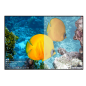 CELEXON HomeCinema - Dynamic Slate ALR Kontrastleinwand (220 cm)