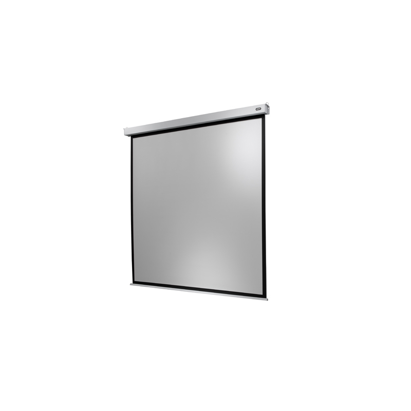 CELEXON 1090802 Motor Professional Plus 220 x 137 cm Motorleinwand