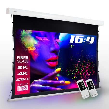 ESMART Expert XTS 244 x 137 cm (110") 16:9 GRAU Tension-Leinwand