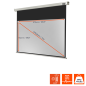 CELEXON Professional Motorleinwand, Bilddiagonale (Zoll): 121 Zoll
