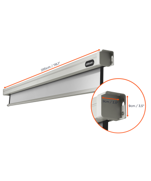 CELEXON Professional Motorleinwand, Bilddiagonale (Zoll): 121 Zoll