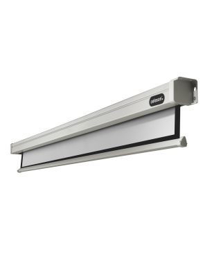 CELEXON Professional Motorleinwand, Bilddiagonale (Zoll): 121 Zoll