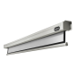 CELEXON Professional Motorleinwand, Bilddiagonale (Zoll): 121 Zoll