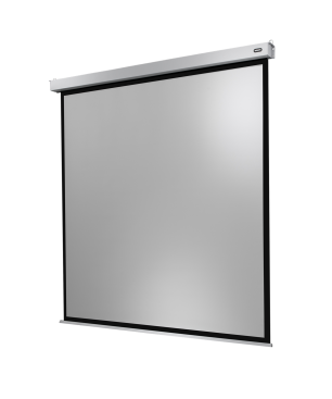CELEXON Professional Plus Motorleinwand, Bilddiagonale (Zoll): 122 Zoll