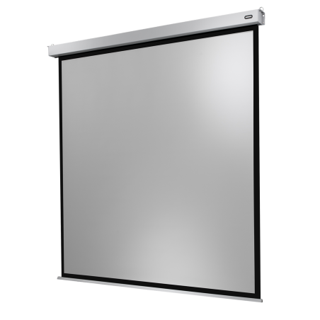 CELEXON Professional Plus Motorleinwand, Bilddiagonale (Zoll): 122 Zoll