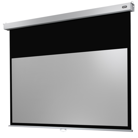 CELEXON Professional Plus Rolloleinwand, Bildhöhe: 169 cm