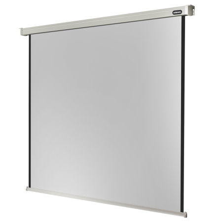CELEXON Professional Motorleinwand, Bildbreite: 215 cm