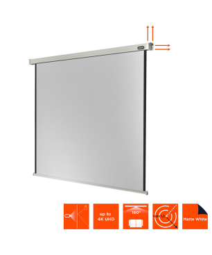 CELEXON Professional Motorleinwand, Bildbreite: 215 cm